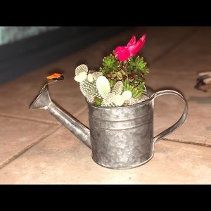 Meet your Posher, Ivette